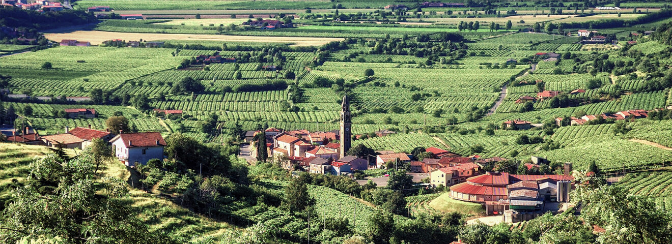 AMICI DI MONTEBELLO